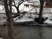 Green River Inn 
