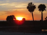 Algiers Beach Resort 