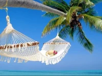 Affordable Beach Condos 