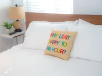 Park Shore Suites St Pete Beach 
