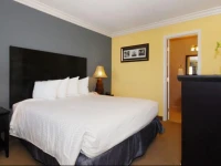 Solaire Inn & Suites 