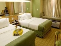 Microtel Inn & Suites by Wyndham Saraland 