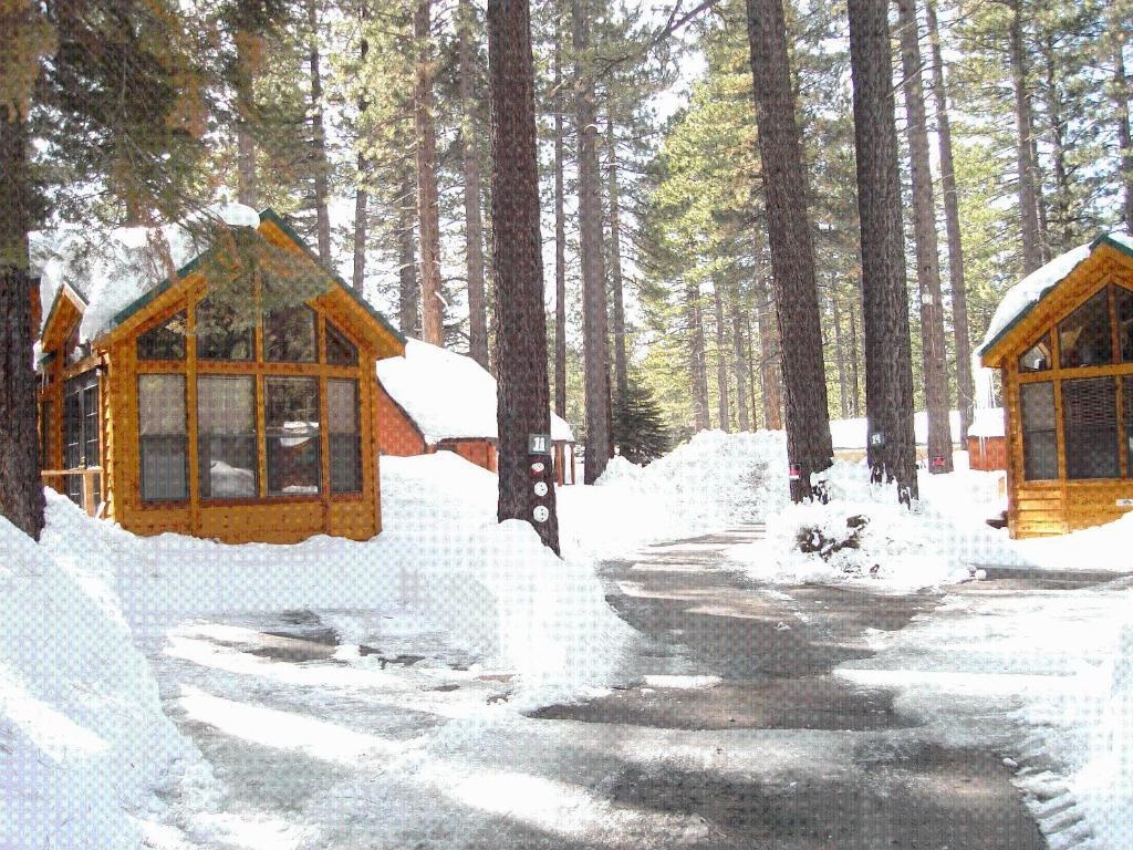 Cedar Pines Resort 