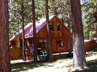 2921 Freel Peak Holiday Home 
