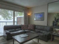 Ski Run BoulevardApartment 