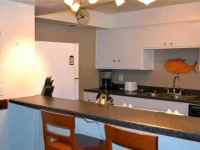 South Shore Apartment 1171A 