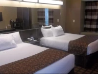 Microtel Inn & Suites-Sayre, PA 
