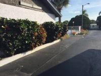 Residence Inn by Marriott Sebring 