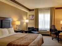 Comfort Inn & Suites Seguin 