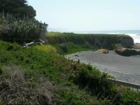 The Oceanfront Inn 
