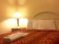 Palm Villa Suites 