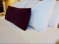 Skaneateles Suites & Boutique Hotel 