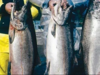 Alaskas Kenai Jims Lodge & Guide Service 