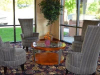 Comfort Suites Southington - Cheshire 