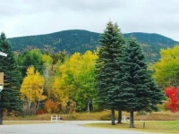 Spillover Motel and Inn 