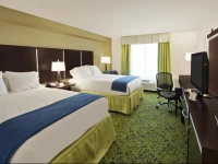 Holiday Inn Express and Suites - Stroudsburg 