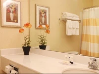 Fairfield Inn and Suites by Marriott Atlanta Suwanee 