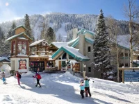 Alpine Village Suites 