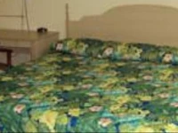 Dixie Plaza Motel 