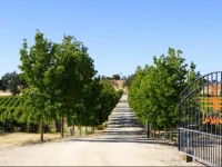 Honey Oak House at Laraneta Vineyards 3*
