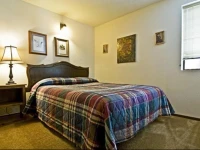 Tahoe Donner Cabin with Alpine Views and Hot Tub 5*