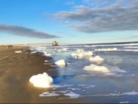Surf Song Bed & Breakfast 3*