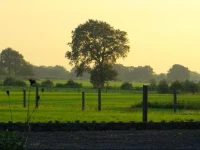 The Black Horse B&B & More 