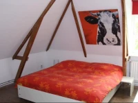 Paardenboerderij Stal Boeken 