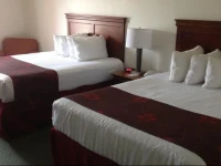 Best Western Czech Inn 