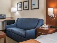 Comfort Suites Wixom / Novi 