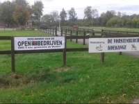 De Vorstenburcht 