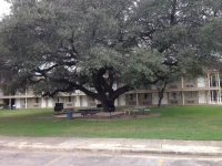 Inn of Uvalde 2*