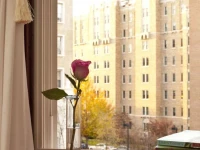 American Guest House 