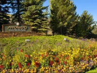 Aspenwood Lodge Arrowhead Village 