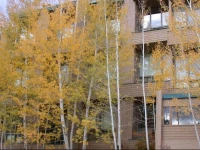 Homestake Condos 