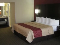 Red Roof Inn Vincennes 