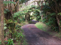 Aloha Crater Lodge and Lava Tube Tours