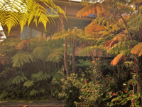 Volcano Inn