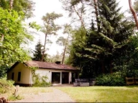 Lovely chalet in the woods 