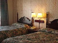 Red Carpet Inn Wall 