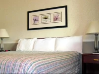 Diablo Mountain Inn Walnut Creek 