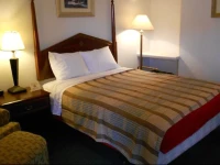 Palms Inn and Suites 