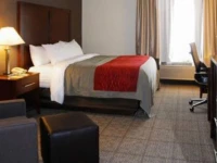 Comfort Inn - Warren 
