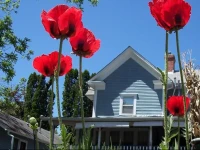 Inn on Main Street Bed and Breakfast 