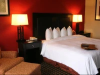 Hampton Inn and Suites Houston Clear Lake NASA 