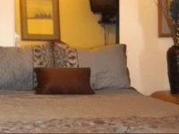 Pillow Talk Motel 