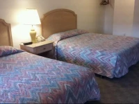 The Tallwood Motel 