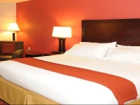 Holiday Inn Guin 