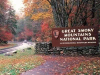 Mountain Laurel Holiday home 