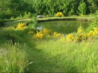 Domaine De Labeale 